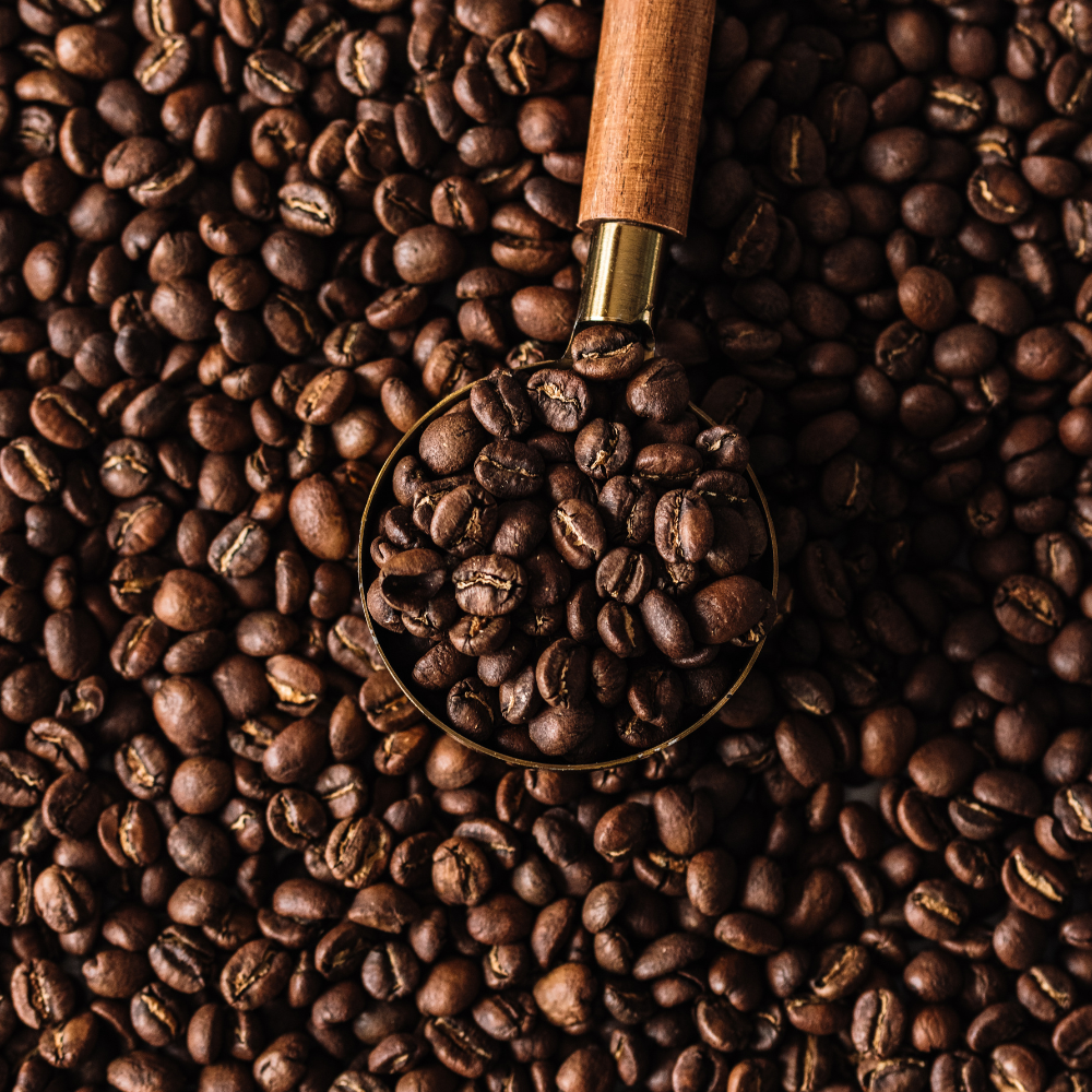 Henry's House Conquistador - Organic Henry’s House Of Coffee